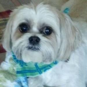 Meet your Posher, Pat